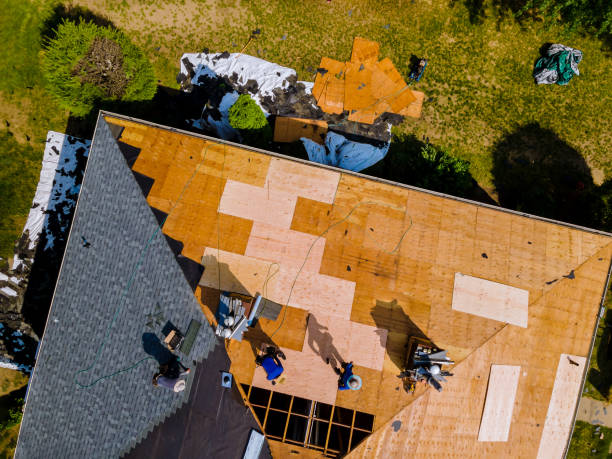 Best Flat Roof Repair Services  in Chatham, VA