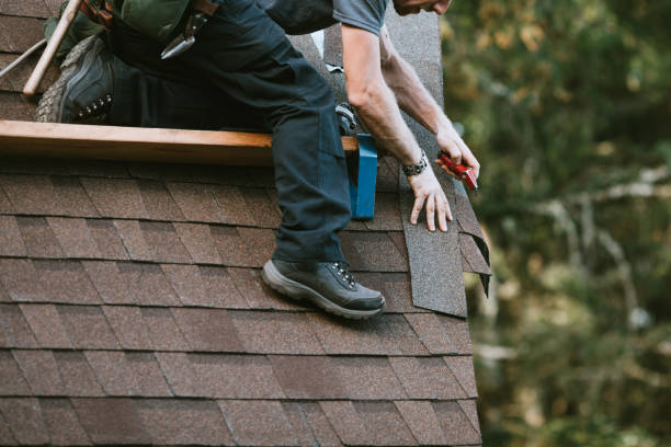 Best Gutter Installation and Roofing  in Chatham, VA